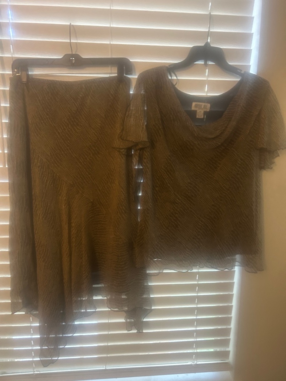 Skirt and blouse